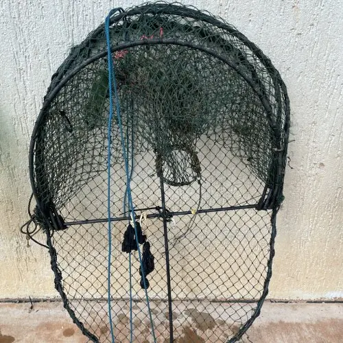 Seized Freshwater Pot at Daly River region