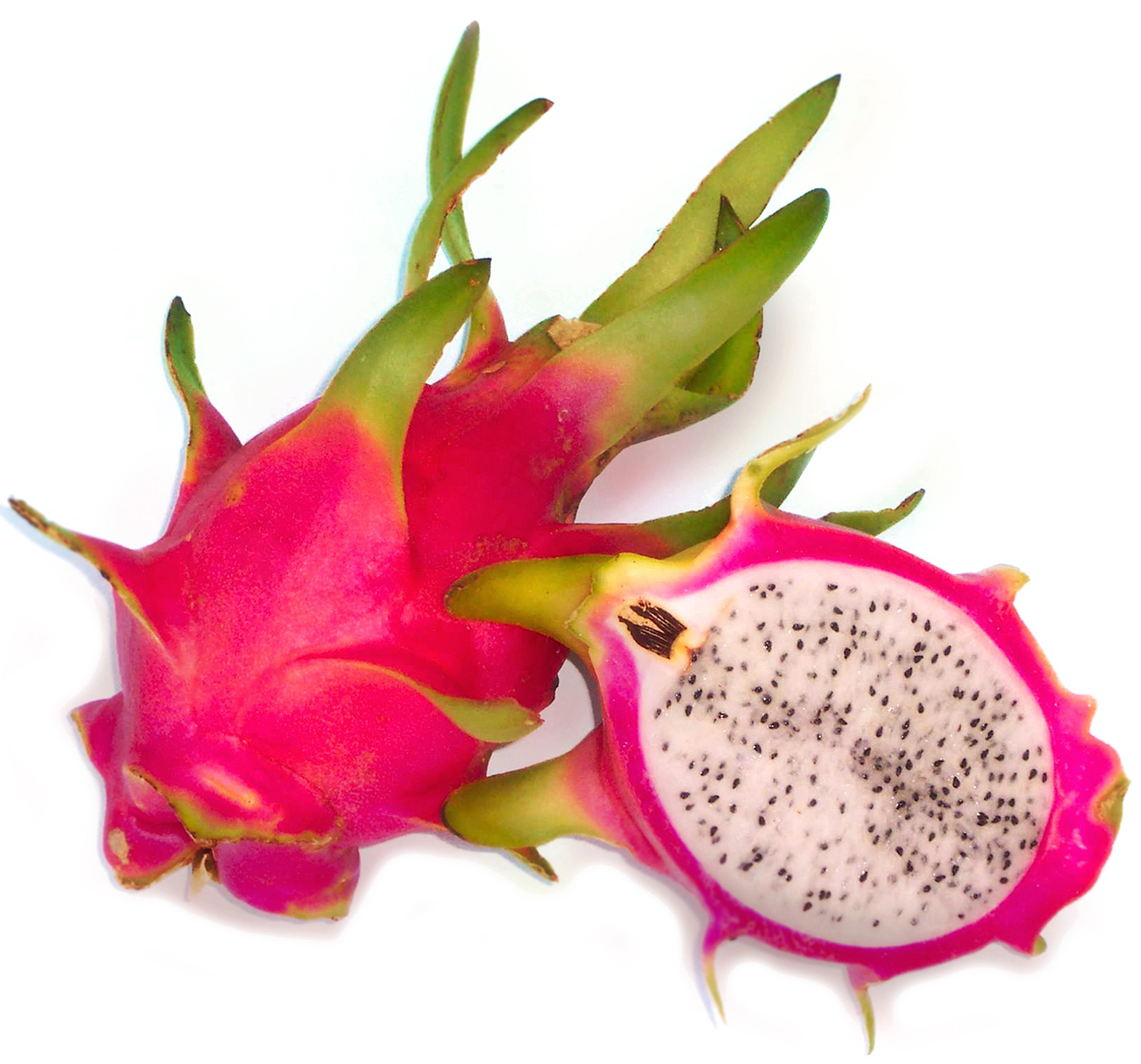 When is dragon fruit season? - Best time!