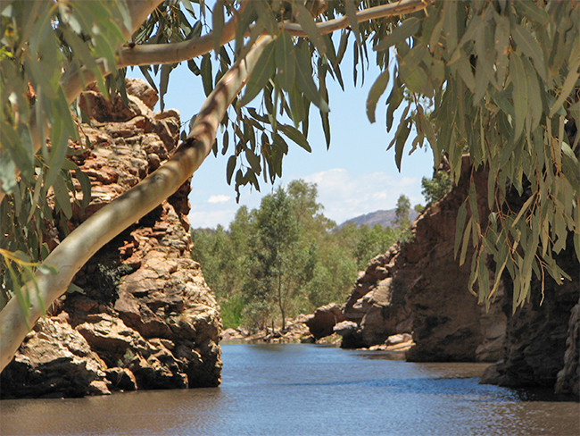 Ellery Creek Big Hole - Park image