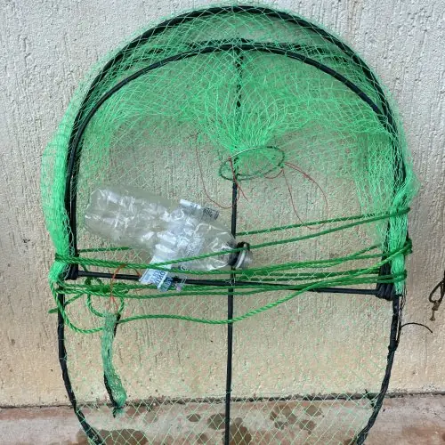 Seized Freshwater Pot at Daly River region
