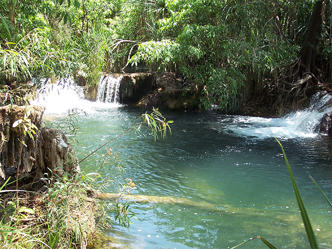 Giwining / Flora River Nature Park - Waterfalls