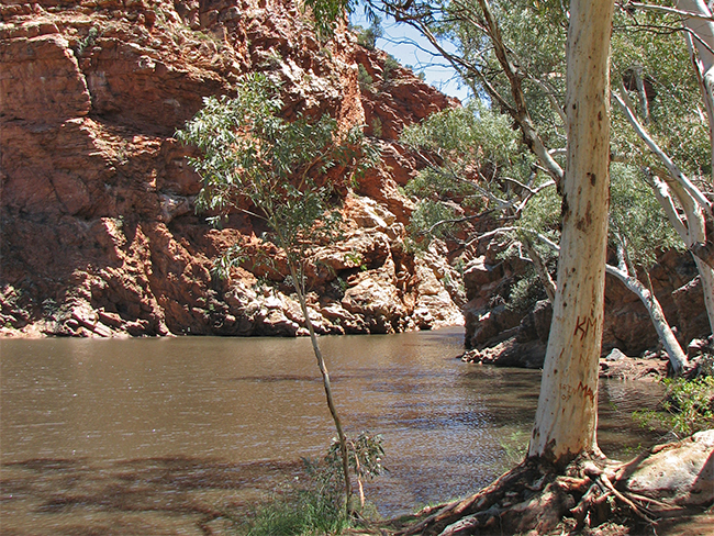 Tjoritja / West MacDonnell National Park - Park image