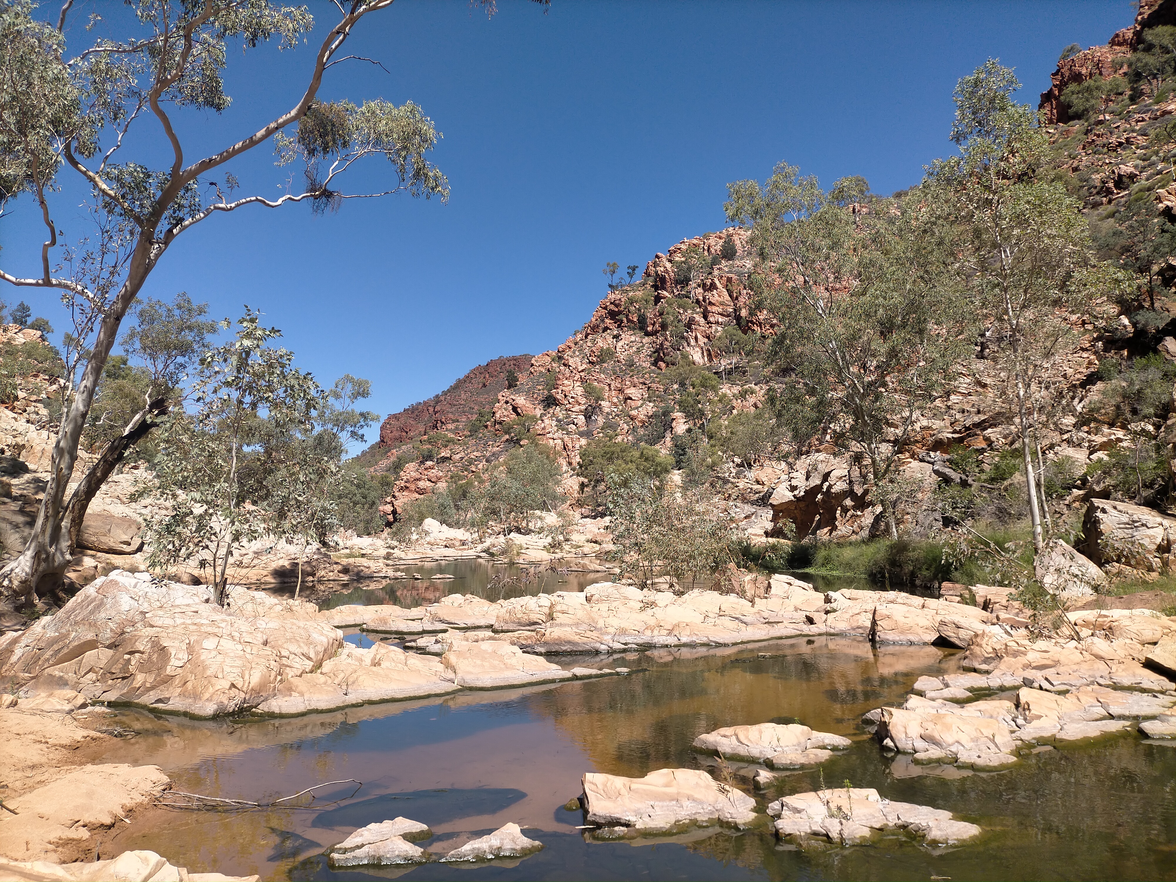 Redbank Gorge - Park image