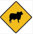 Yellow diamond sign with image of cattle
