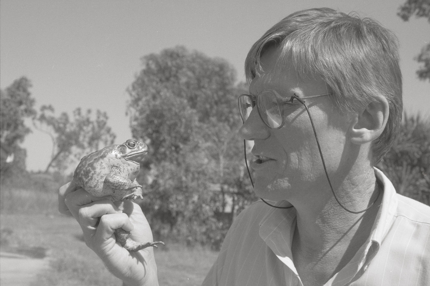 Bill Freeland, CSIRO, with Cane Toad, 31 July 1990<br />Image courtesy of Library & Archives NT,  Department of the Chief Minister, NTRS 3823 P1, Box 11, BW2921, Image 2