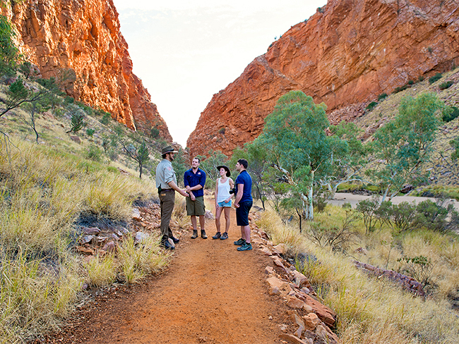 Simpsons Gap - Park image