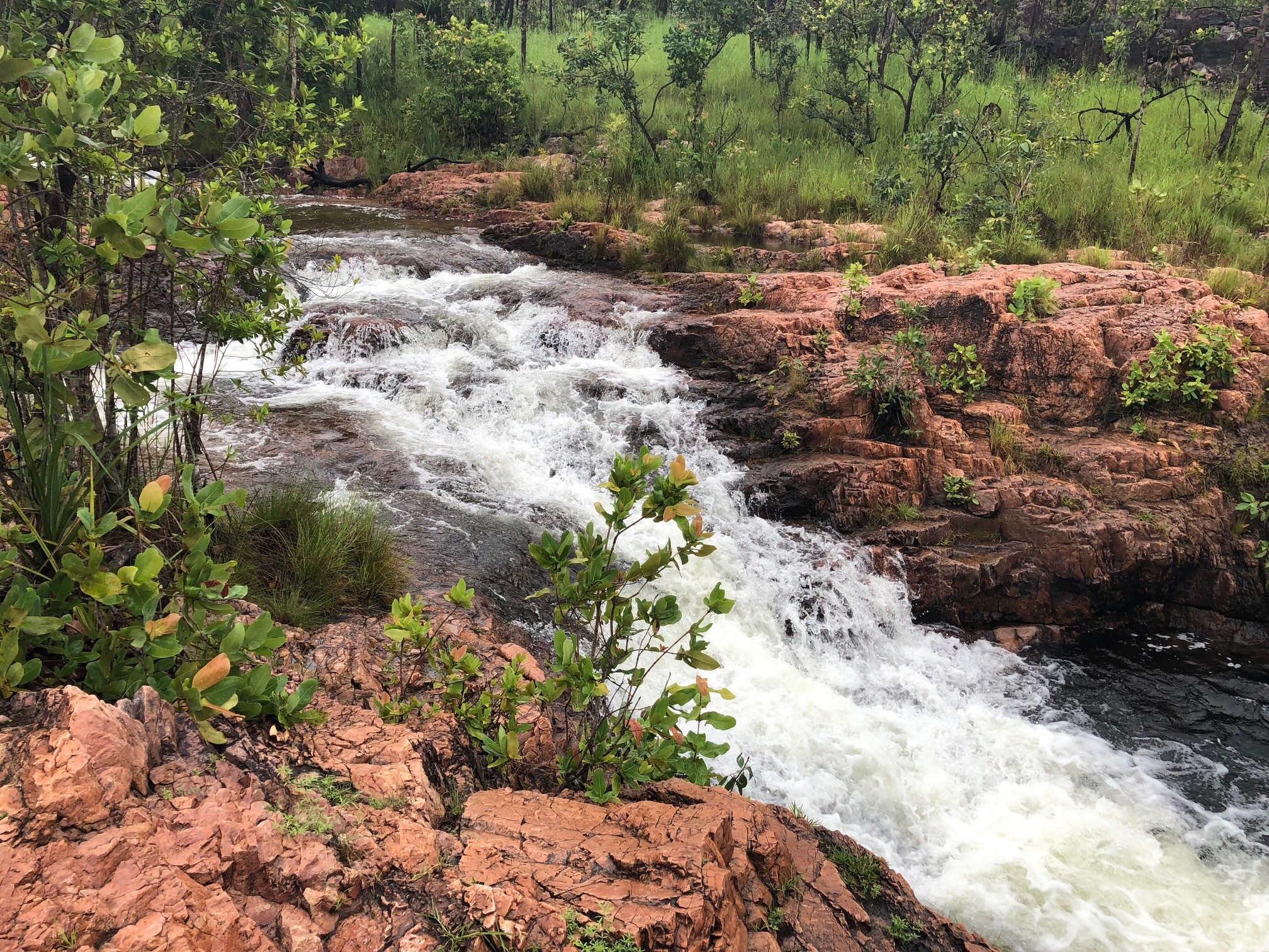 Buley Rockhole - Park image