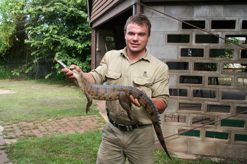 Freshwater crocodile:</br> Ranger Joey with a juvenile freshwater croc. Freshwater crocs have a long narrow, tapered snout with needle-like teeth.