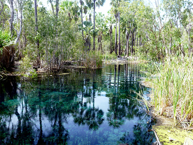 Bitter Springs - Park image